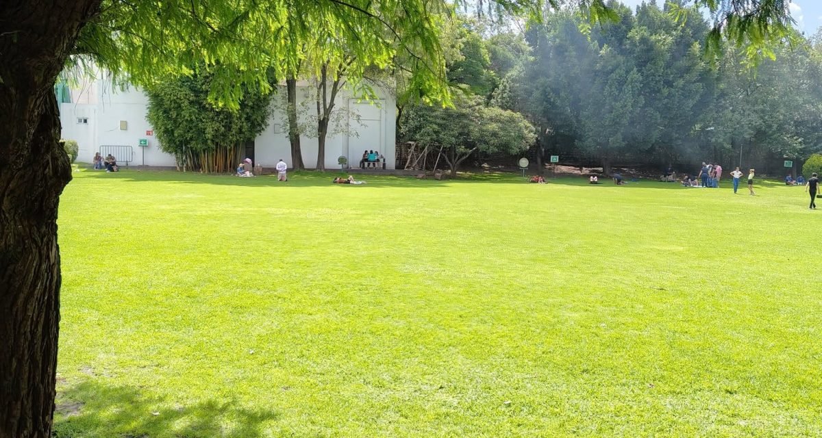 559634688 122138527808906481 2324182209999764143 n